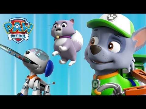 ROCKY AND ROBO DOG STOP AN OUT OF CONTROL ROBOT TOY!