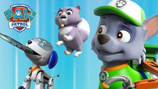 Rocky and Robo Dog stop an out of control robot toy! - PAW Patrol UK - Cartoons for Kids Compilation