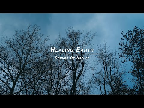 Sounds Of Nature 4 Minutes 30 Seconds