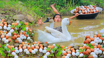 Woman Found Goose egg and Bamboo shoot in forest & Fried  egg  Goose for dog Eating delicious HD
