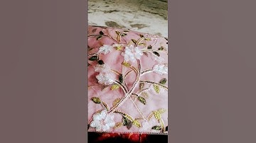 Draping a see-through net saree in pregnancy | Dolly Jain sareedraping on pregnant lady