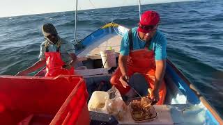 PESCA DE 🐟GUACHINANGO🐟CON🦐CAMARÓN🦐VIVO | UN BUEN CEVICHE DE CAMARÓN❗️🇲🇽✅💯