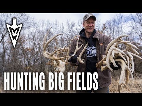 Comment Hunt Big Fields, Plus Sheds | Midwest Whitetail
