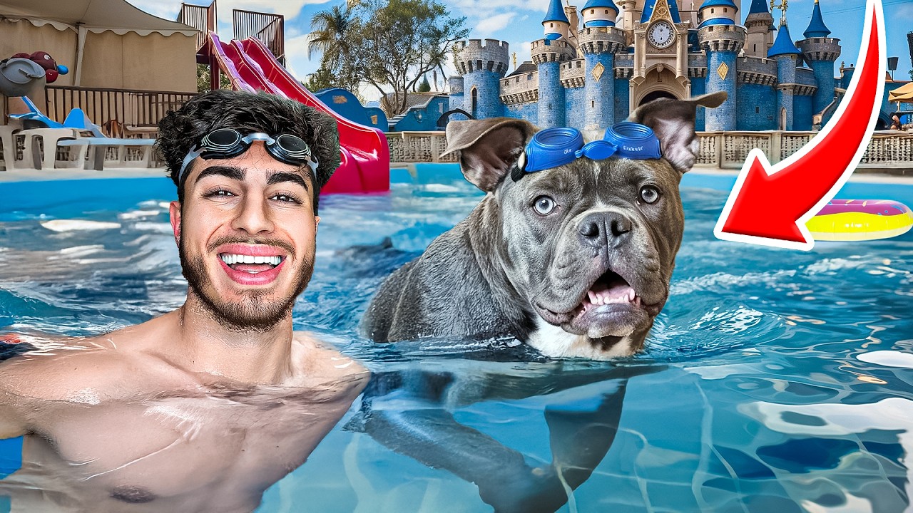 Подарите моему щенку самый лучший день в жизни!