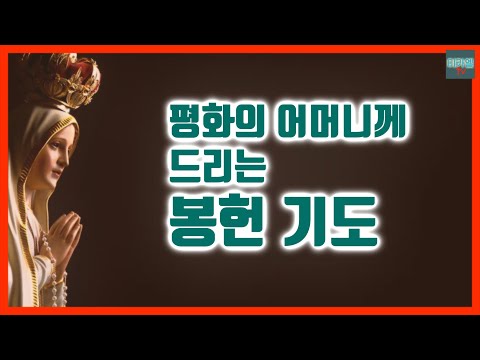 영상썸네일