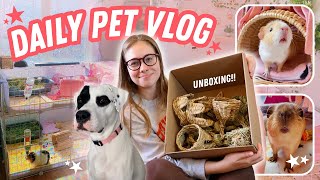 DAILY PET VLOG | Unboxing, Feeding, Cleaning & More!