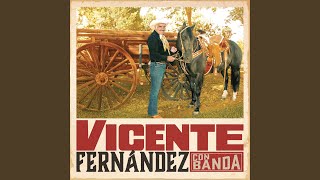 Mi Gusto Es - Vicente Fernández