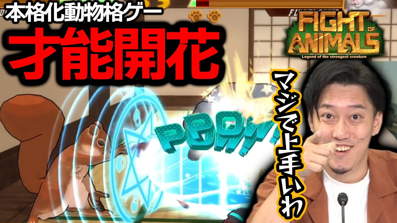 本格化動物格ゲーで才能を開花させる布団ちゃん【Fight of Animals】【2024/2/25】