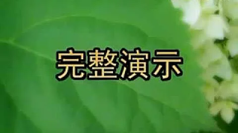 扇子舞《中國功夫》完整 - 天天要聞