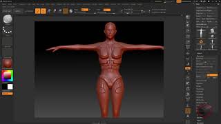 Speed modeling a female sci fi character in ZBrush