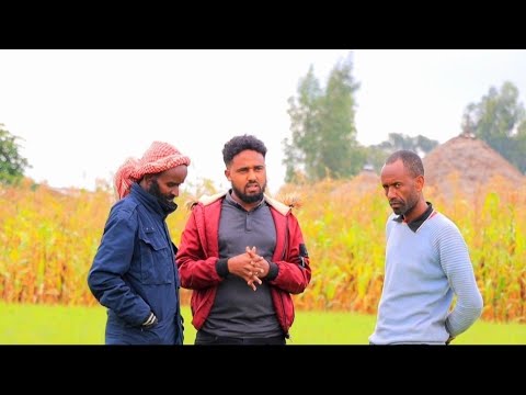 Obboleessi Kiyyan Dhiisu Waan Inni Horii Caaltuu Wajjiin Narraa Dhokateen Seeraan Isa Gaafadha