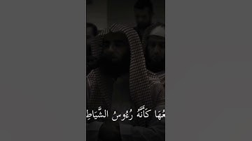 تلاوئ محمد اللحيدان #تلاوة_تريح_قلبك #لايك #اكسبلور