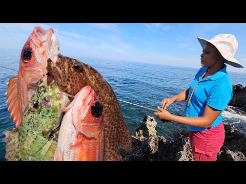 Reef Treasure Hunt! Hooking Squirrel Fish, Parrot Fish & Strawberry Grouper!