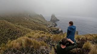 Antipodes Islands 2022 - A detour to Orde Lees