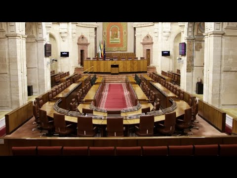 Pleno del Parlamento - Sesión del 21 de julio de 2021