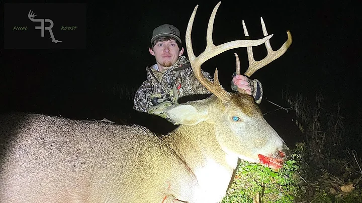 BIG BUCK Rattled In And DROPPED With A Bow! | FRONTAL SHOT! |