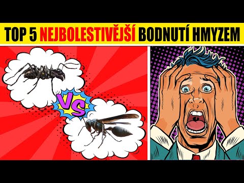 Video: Jak Se Chránit Před Bodnutím Hmyzem