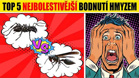 Jaké jsou příčiny kousnutí hmyzu?