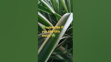 Thumbnail of Love Is Blue Paul Mauriat (1968) #song #music #orchestra #60s #love #classic #hit #musica #shorts