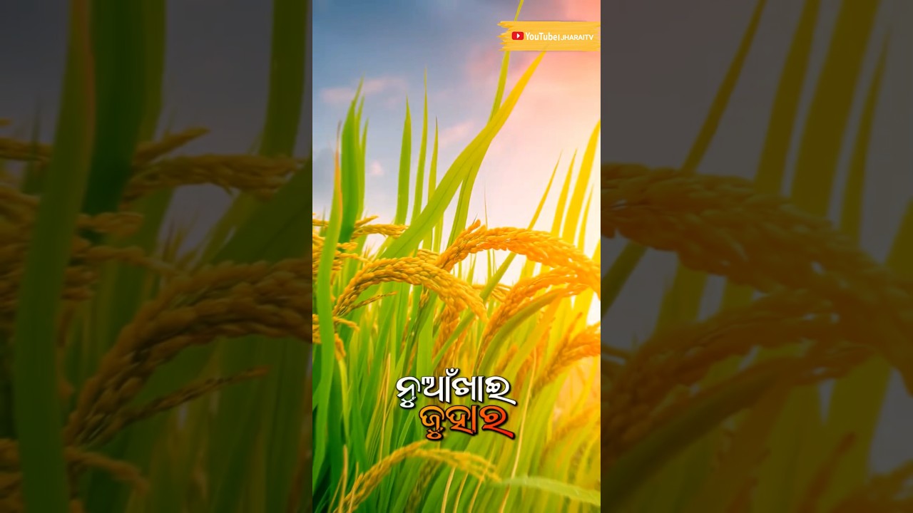 Nuakhai status 💥 nuakhai juhar 