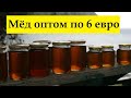 Мед оптом по 6 евро в Испании, а Украина бьет рекорд по экспорту меда