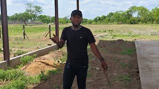 Bovin viande: construction d'un bâtiment d'embouche de 300 têtes boeufs engraissés 