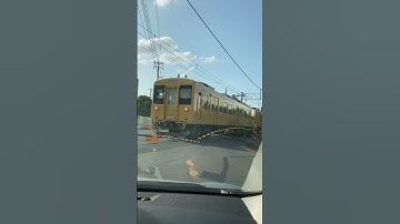 Thumbnail of Rare rail crossing
