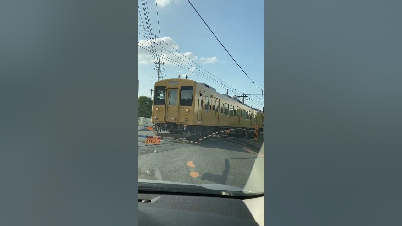 Rare rail crossing