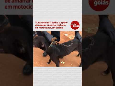 "Latia demais": detido suspeito de amarrar e arrastar cachorro em motocicleta, em Goiânia - MG