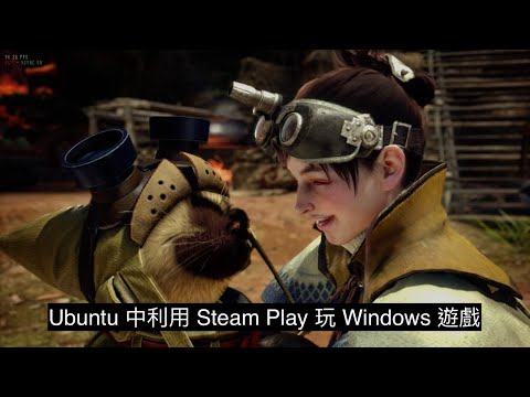 Ubuntu 中利用 Steam Play 玩 Windows 遊戲