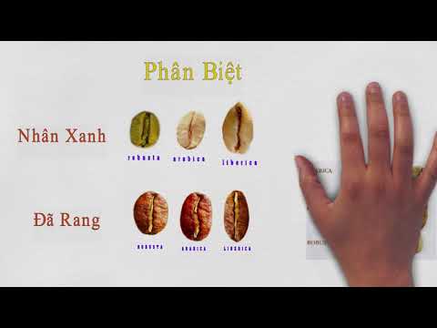 Video: Các đặc Tính Tích Cực Của Cà Phê