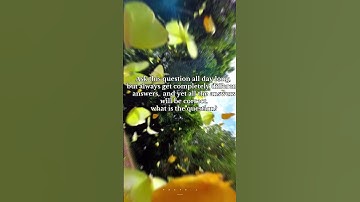 Riddle-8⚡ #riddle #riddlechallenge #riddleseries #interestingfacts #interesting #quiz #quizgame #new