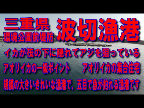 #14三重県波切漁港アオリイカが釣れる一級ポイントイカが筏の下に隠れてアジを狙っているアオリイカの集合住宅波切漁港環境公園公衆トイレ前堤防爽やかで気持ちの良い漁港です