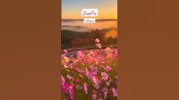 #ياسر_الدوسري #سورة_الحج #اجمل_حالات_واتس_اب #تلاوة_خاشعة #قران_كريم #تريند #تيك_توك