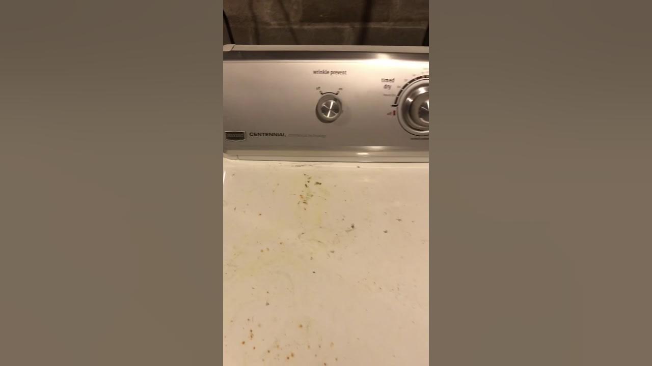 Maytag dryer won’t stop buzzing YouTube