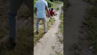 Babi Ngepet Kesiangan