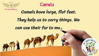 برجراف عن الجمال Camels كونكت 4 منهج اللغة الانجليزية للصف الرابع الابتدائي