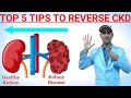Top 5 tips to reverse ckd              kidney ckd