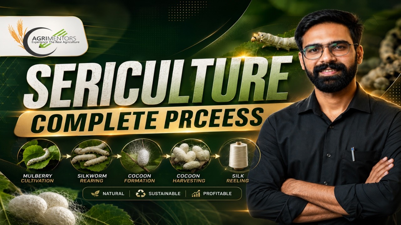 Sericulture Complete Process | Silk Rearing Explained for Agriculture ...