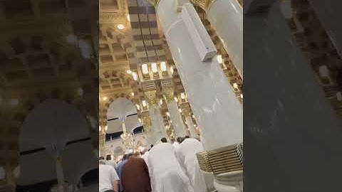تلاوة جميلة من سورة المائدة للقارئ د.عبدالله القرافي عشاء الجمعة ١٨-٤-١٤٤٧هـ