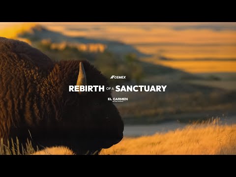 El Carmen Nature Reserve: Rebirth of a Sanctuary