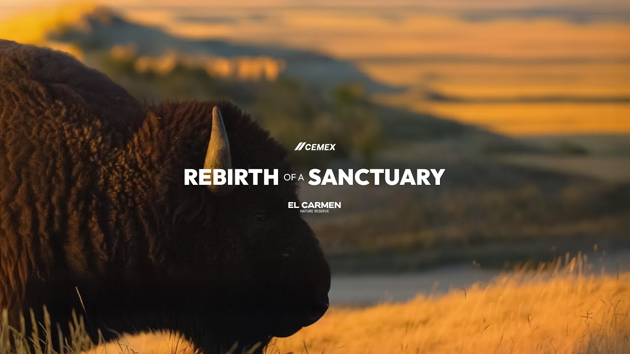 El Carmen Nature Reserve: Rebirth of a Sanctuary