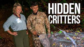 What Comes Out at Night in Costa Rica