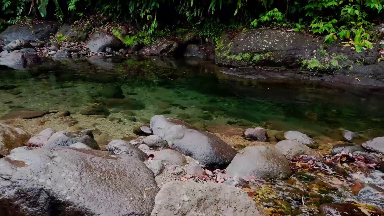 Rivière Blanche à Cœur Bouliki, Martinique YouTube