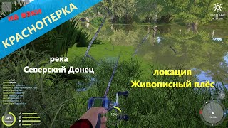 Русская рыбалка 4 - река Северский Донец - Красноперка на вэки