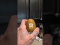 Cute Little Kiwi - Song n.119 Every fruit deserves its own song, right? Went for a snack and the
