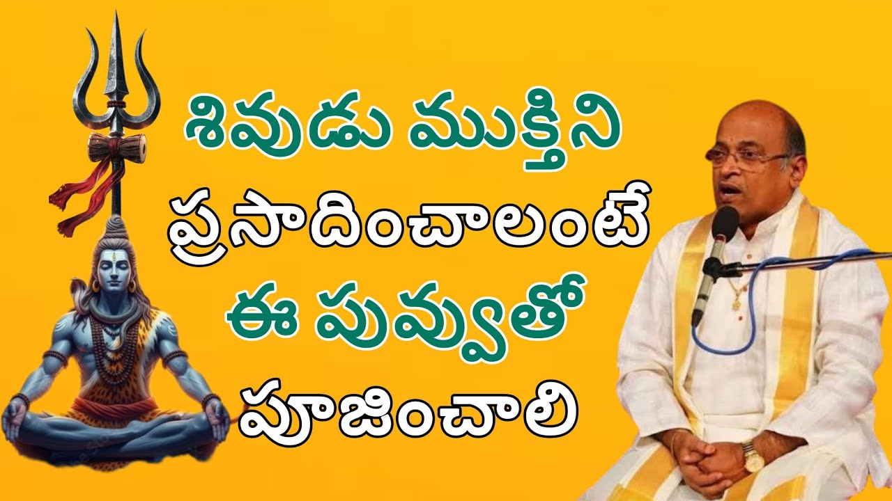 శివుడు Prasangam By Garikipati Narasimha Rao Garu.#garikipatinarasimharao #chagantikoteswararao