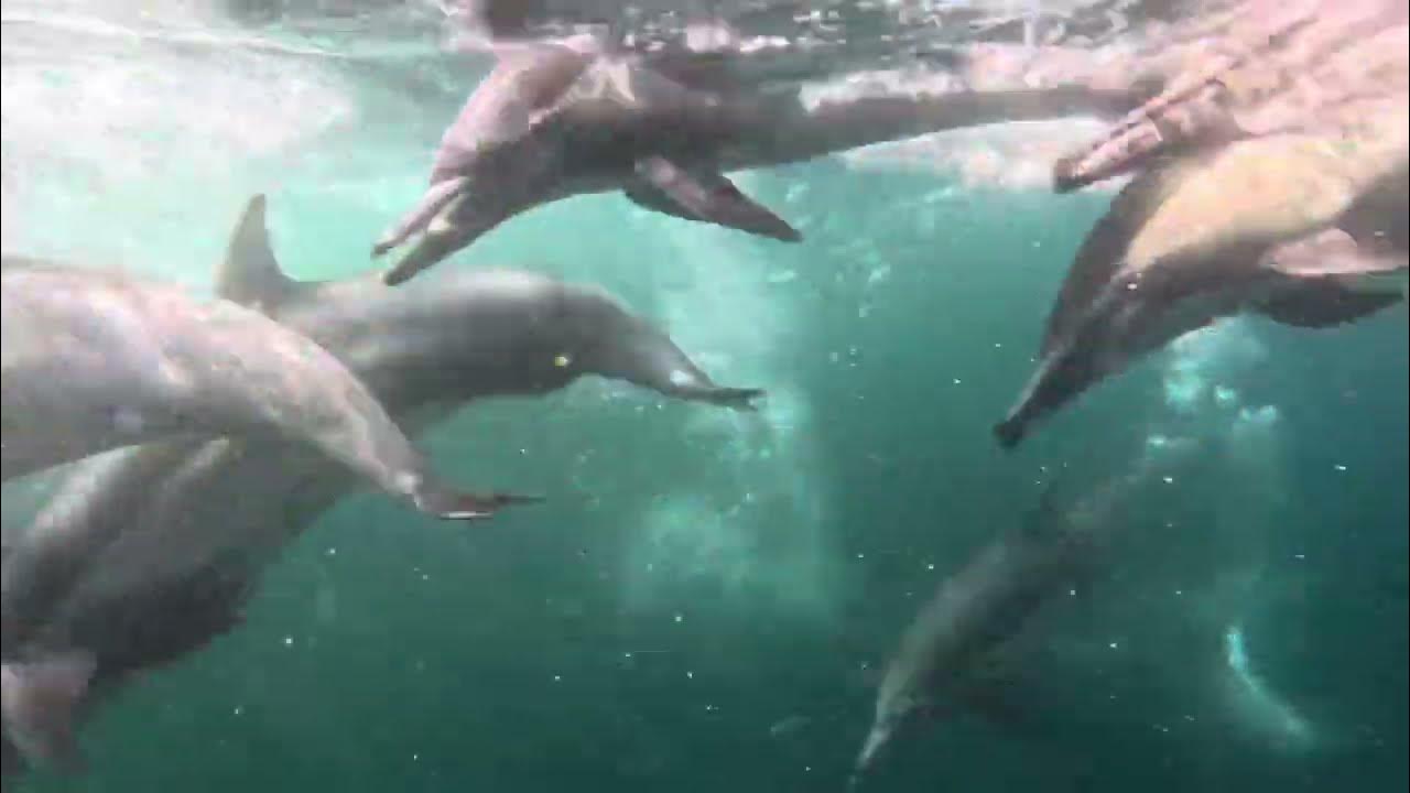 Wet in fountain. ветлук винтер. дождь стеной фото. Wet для детей. I am getting wet.