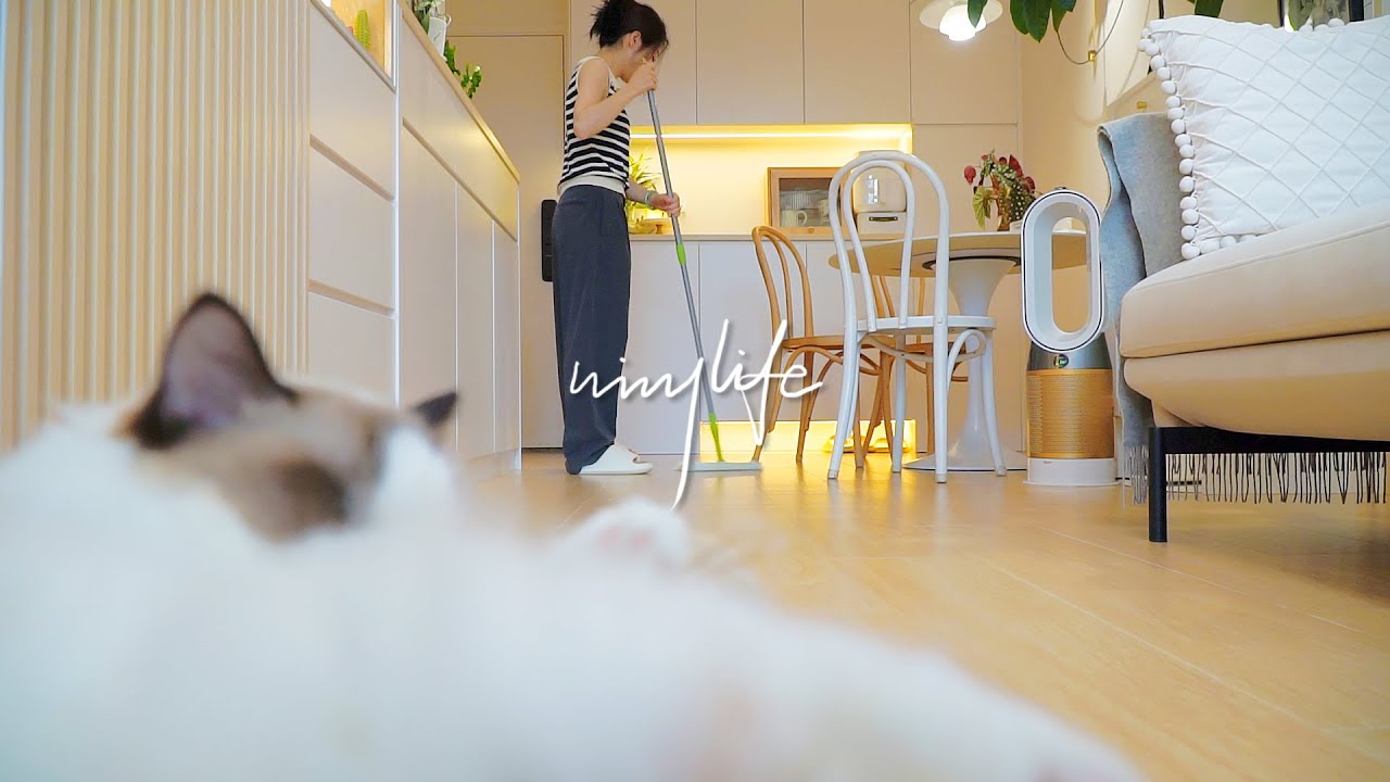 5 способов для семей, в которых есть кошки, поддерживать чистоту в доме 🐈🌿｜Убирайтесь со мной 🧹