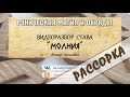 Разбор става МОЛНИЯ